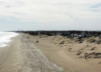 Publicaron las conclusiones del primer encuentro de Foro Ambiental Sauce Grande. Avanzan en defensa del entorno natural