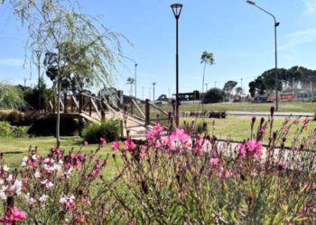 Pronóstico del tiempo en Monte Hermoso y Sauce Grande para estos días rumbo al último fin de semana de abril