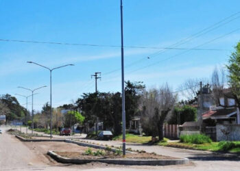 Está abierta la inscripción para participar en una nueva edición de la campaña municipal Un árbol para mi vereda