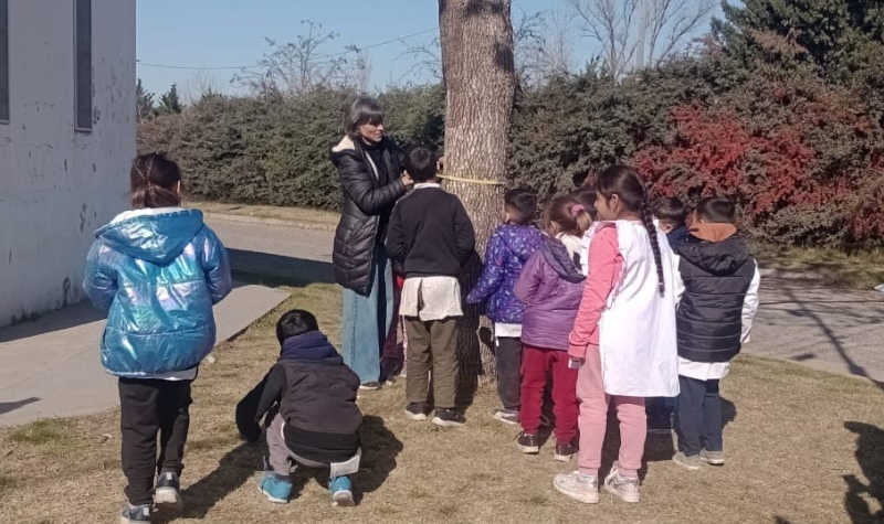 Censo de arbolado urbano aplicación