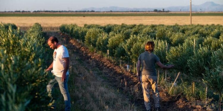 Finca Nobles Caciques en el distrito de Bahía Blanca