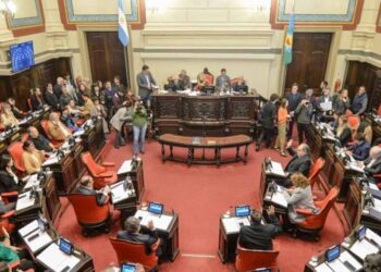 Senado Bonaerense reelección indefinida