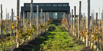 Otra experiencia se suma al desarrollo de vinos de influencia marina en la costa atlántica bonaerense