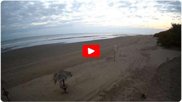 La playa de Monte Hermoso en vivo