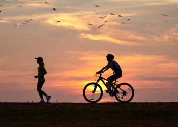 Deportes y aire libre