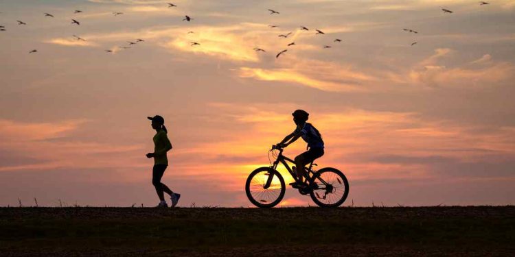 Deportes y aire libre