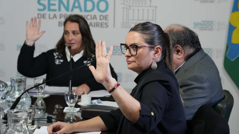 Nerina Neumann Losada senado bonaerense