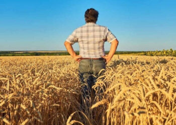 Señales positivas para el período agrícola 2025-2026 y desafíos que requieren visión de largo plazo plantea un informe privado