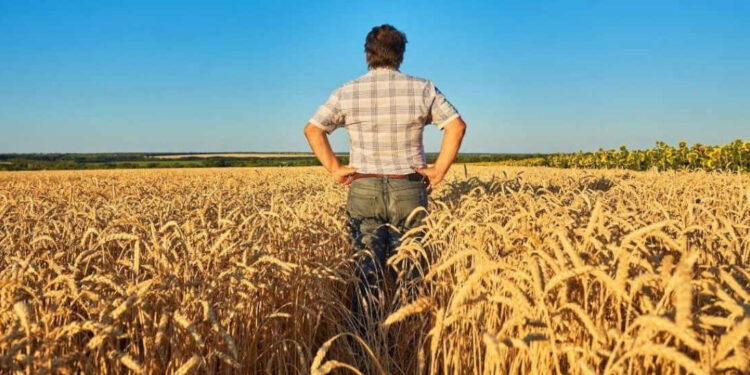 Señales positivas para el período agrícola 2025-2026 y desafíos que requieren visión de largo plazo plantea un informe privado