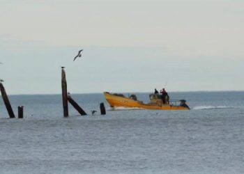 ¿Se va julio y se lleva el frío? Pronóstico para Monte Hermoso y Sauce Grande en la continuidad de esta semana