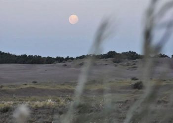 Cómo seguirá el clima en Monte Hermoso y Sauce Grande estos días y anticipos para el segundo fin de semana de agosto