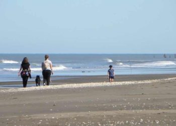 Clima en Monte Hermoso 12 de septiembre
