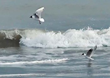 Clima en Monte Hermoso
