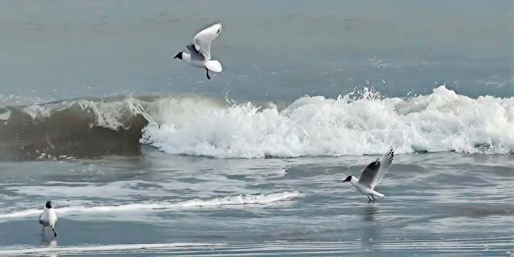 Clima en Monte Hermoso