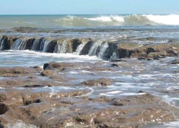 Consumo de agua de mar