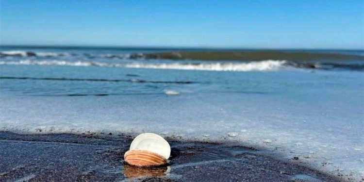 Museo de Ciencias de Monte Hermoso