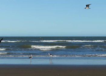 Pronostico del mes septiembre en Monte Hermoso