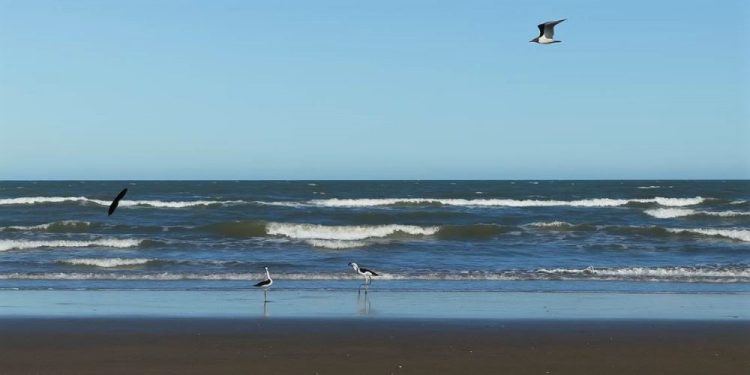 Pronostico del mes septiembre en Monte Hermoso