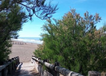 Cómo estará el clima en el Día de la Madre en el país y en nuestra región. Perspectivas para la próxima semana