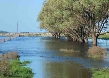 Lluvias en campos de Buenos Aires