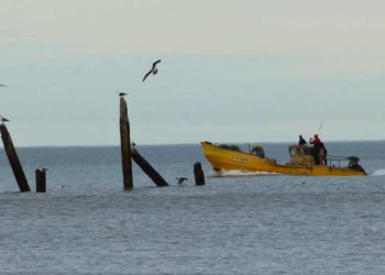 Pesca artesanal en Monte Hermoso. Foto de Joha Acosta