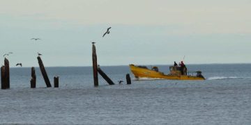 Pesca artesanal en Monte Hermoso. Foto de Joha Acosta
