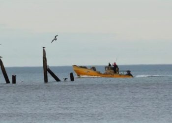 clima en monte hermoso