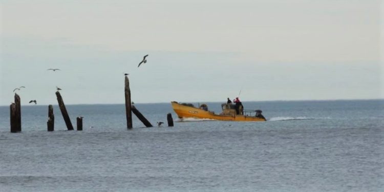 clima en monte hermoso