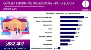 Canasta estudiantil Universitaria 