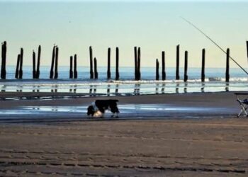 Clima en Monte Hermoso