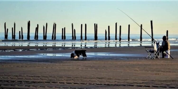 Clima en Monte Hermoso