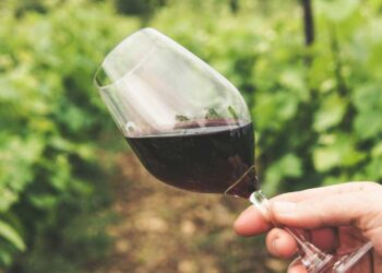 Día del Vino Argentino