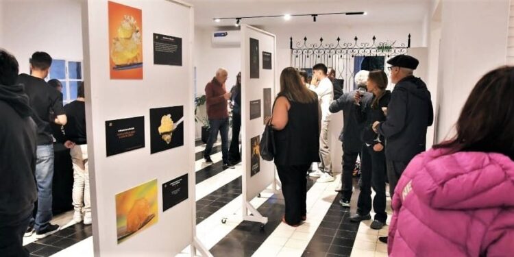 Monte Cannabis Salud