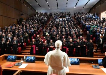 Papa León sobre la educación