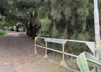 Predio usurpado en disputa en Sauce Grande