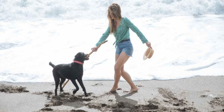 Seguros para mascotas