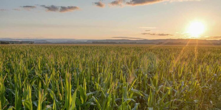 Situación del campo en Buenos Aires