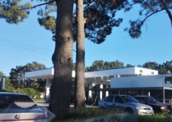 Clima en Monte Hermoso