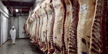 Industria frigorífica en la región sudoeste