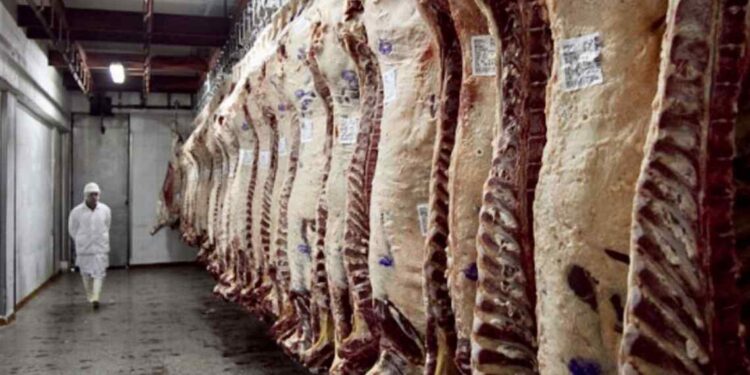 Industria frigorífica en la región sudoeste