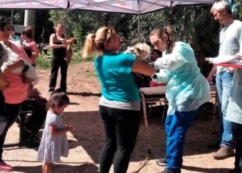 Jornada de Castración