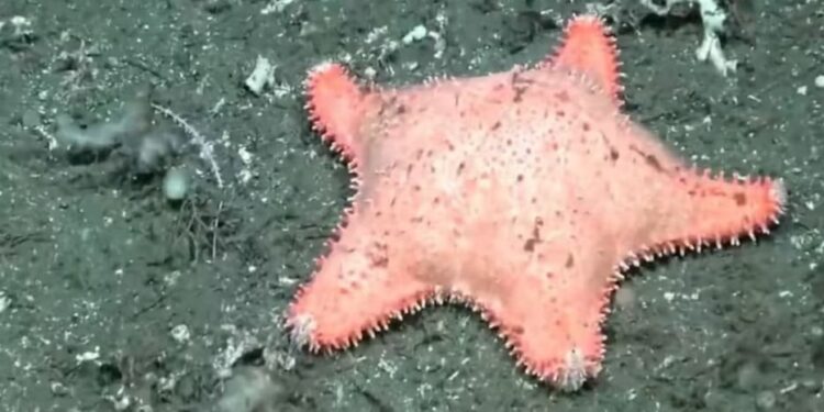 Expedición científica CONICET