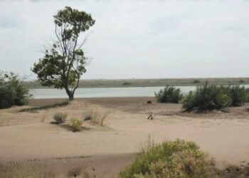 Estuario del Río Ququén Salado