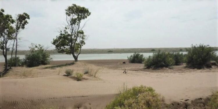 Estuario del Río Ququén Salado