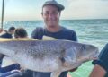 Pesca de una corvina rubia de 7 kilos en Monte Hermoso