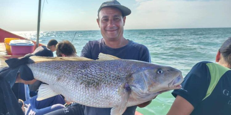 Pesca de una corvina rubia de 7 kilos en Monte Hermoso