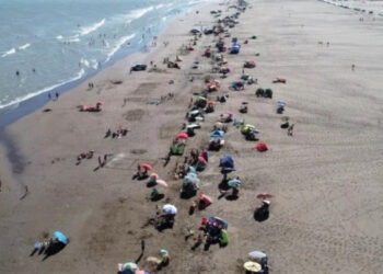 Viajes gratuitos los sábados y nutrida agenda de actividades, espectáculos y eventos para esta temporada en Marisol