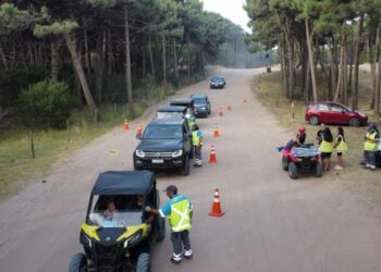 Controles de alcoholemia de la ANSV