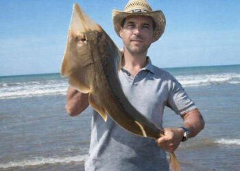 Pez violín o melgacho