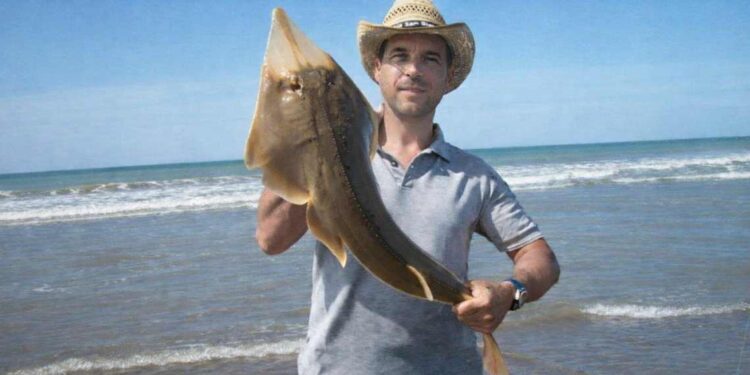 Pez violín o melgacho